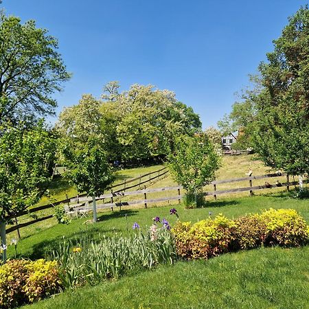 Gite Terre D'Helene 4 A 5 Pers Proche Strasbourg 42 M2, 3 Etoiles, Wifi, Paisible, Jardin, Proche Commerces,16 Atouts, Animaux Acceptes Berstett エクステリア 写真