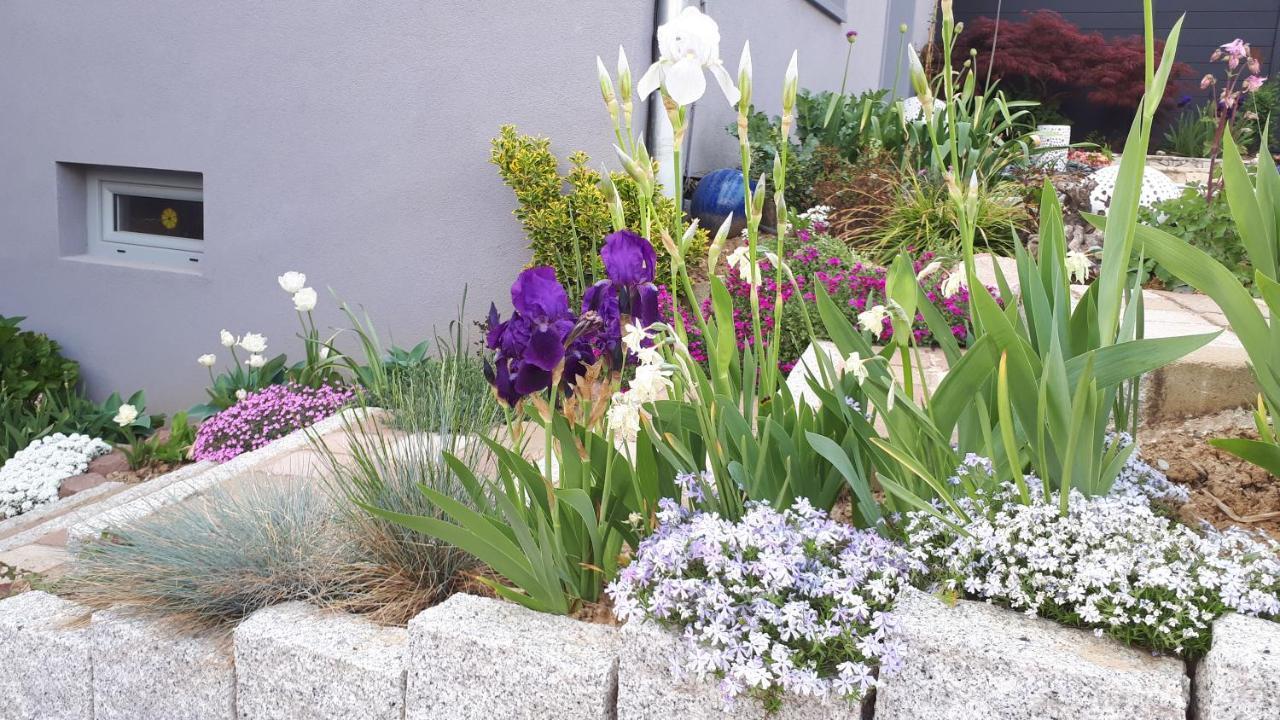 Gite Terre D'Helene 4 A 5 Pers Proche Strasbourg 42 M2, 3 Etoiles, Wifi, Paisible, Jardin, Proche Commerces,16 Atouts, Animaux Acceptes Berstett エクステリア 写真