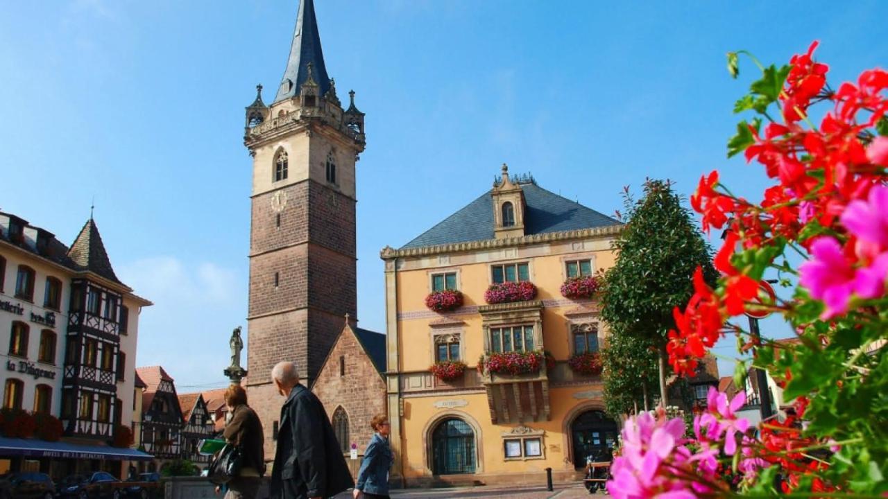 Gite Terre D'Helene 4 A 5 Pers Proche Strasbourg 42 M2, 3 Etoiles, Wifi, Paisible, Jardin, Proche Commerces,16 Atouts, Animaux Acceptes Berstett エクステリア 写真