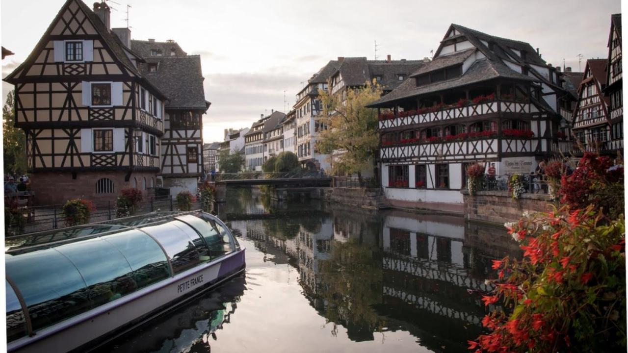 Gite Terre D'Helene 4 A 5 Pers Proche Strasbourg 42 M2, 3 Etoiles, Wifi, Paisible, Jardin, Proche Commerces,16 Atouts, Animaux Acceptes Berstett エクステリア 写真