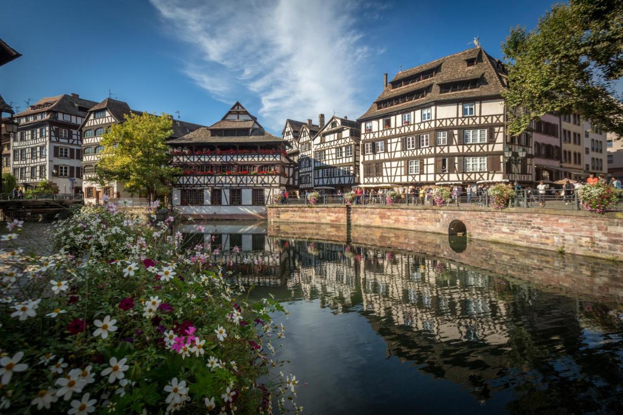 Gite Terre D'Helene 4 A 5 Pers Proche Strasbourg 42 M2, 3 Etoiles, Wifi, Paisible, Jardin, Proche Commerces,16 Atouts, Animaux Acceptes Berstett エクステリア 写真