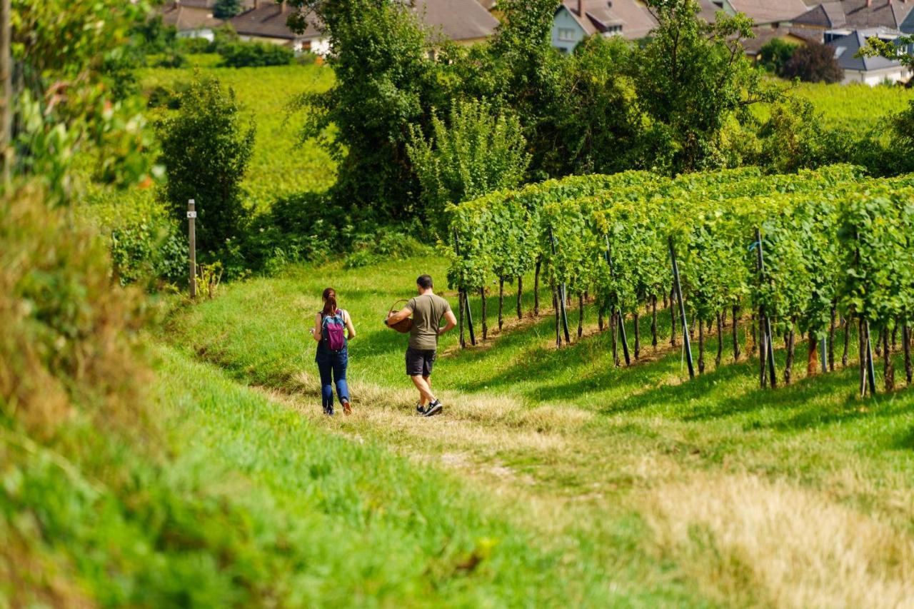 Gite Terre D'Helene 4 A 5 Pers Proche Strasbourg 42 M2, 3 Etoiles, Wifi, Paisible, Jardin, Proche Commerces,16 Atouts, Animaux Acceptes Berstett エクステリア 写真