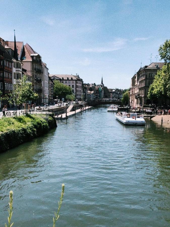 Gite Terre D'Helene 4 A 5 Pers Proche Strasbourg 42 M2, 3 Etoiles, Wifi, Paisible, Jardin, Proche Commerces,16 Atouts, Animaux Acceptes Berstett エクステリア 写真