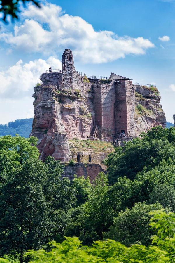 Gite Terre D'Helene 4 A 5 Pers Proche Strasbourg 42 M2, 3 Etoiles, Wifi, Paisible, Jardin, Proche Commerces,16 Atouts, Animaux Acceptes Berstett エクステリア 写真
