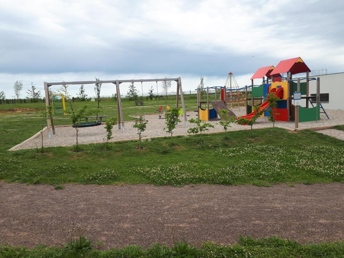 Gite Terre D'Helene 4 A 5 Pers Proche Strasbourg 42 M2, 3 Etoiles, Wifi, Paisible, Jardin, Proche Commerces,16 Atouts, Animaux Acceptes Berstett エクステリア 写真