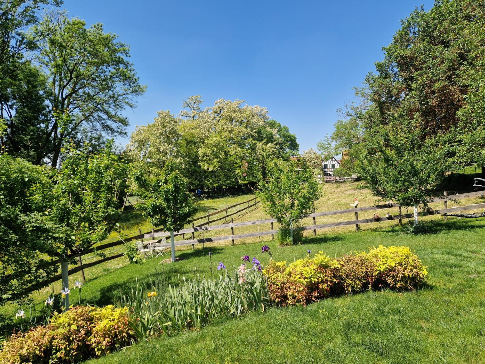 Gite Terre D'Helene 4 A 5 Pers Proche Strasbourg 42 M2, 3 Etoiles, Wifi, Paisible, Jardin, Proche Commerces,16 Atouts, Animaux Acceptes Berstett エクステリア 写真